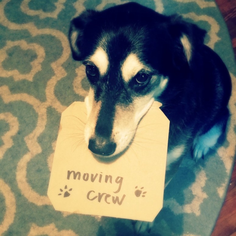 My September 2017 Reading List - Moving Crew